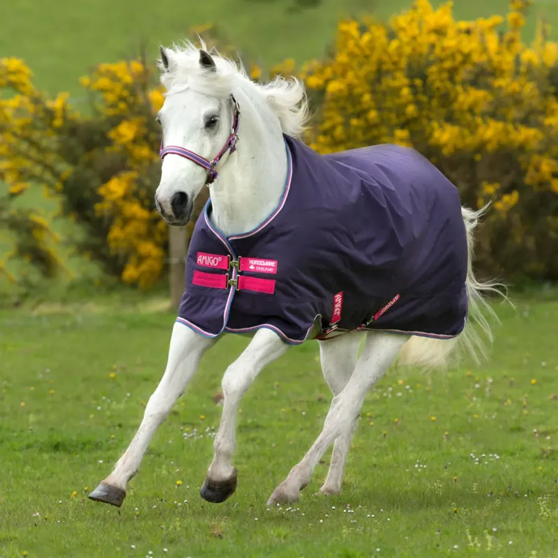 Horseware Amigo Hero ACY Pony Lite Turnout Rug - Grape/Pink/White/Blue